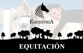 Clases de Equitacion, Salto y Polo