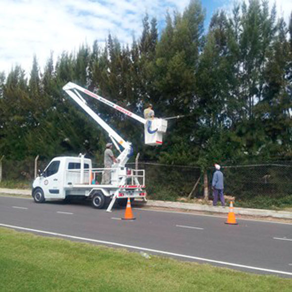 Se realizó poda en altura en el corredor Bancalari