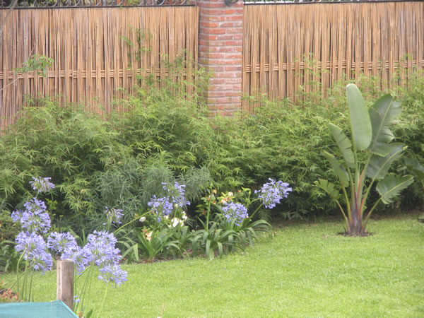 Pensar el jardin en conjunto con la vivienda