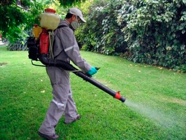 Consejos a la hora de fumigar los jardines