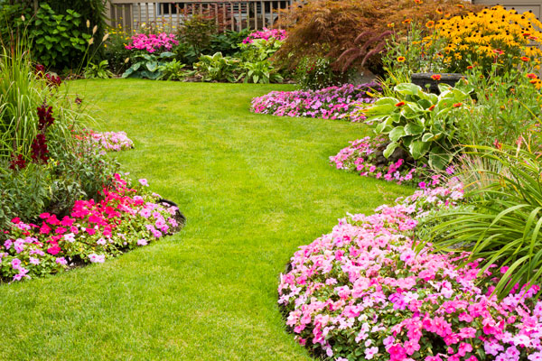 PRIMAVERA EN EL JARDIN