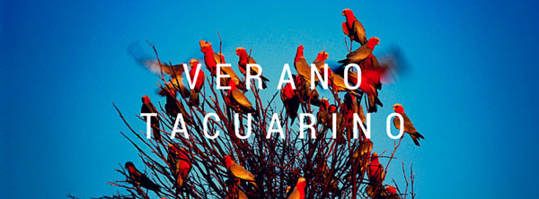 verano-tacuarino