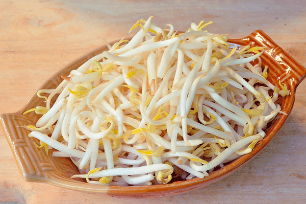 Fun-Facts-of-Bean-Sprouts