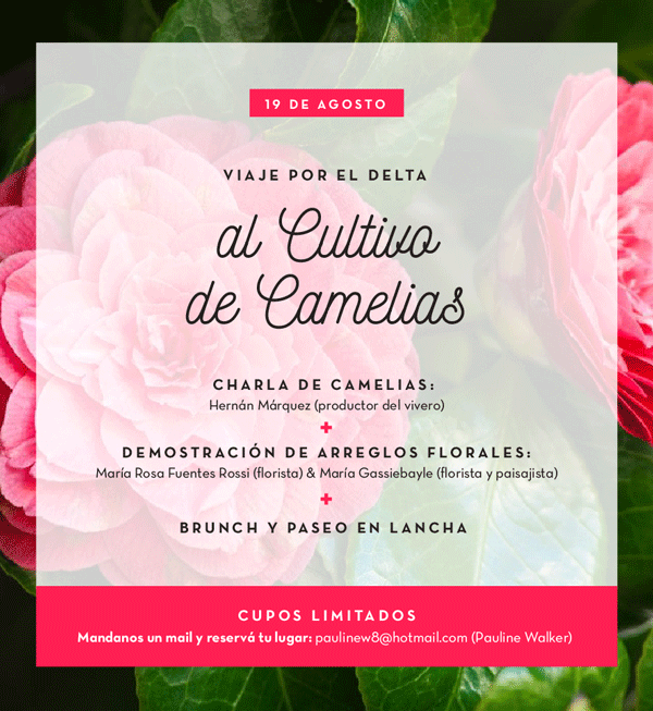 Flyer_Camelias-2-(5)