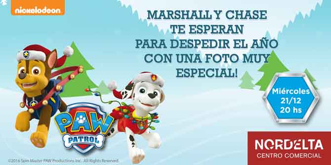 paw patrol en nordelta centro comercial