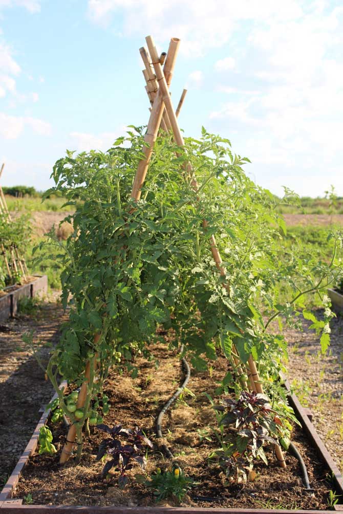 Huerta Circular en Nordelta