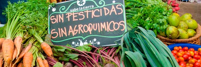 Este viernes, Sabe la Tierra vuelve a Pilar