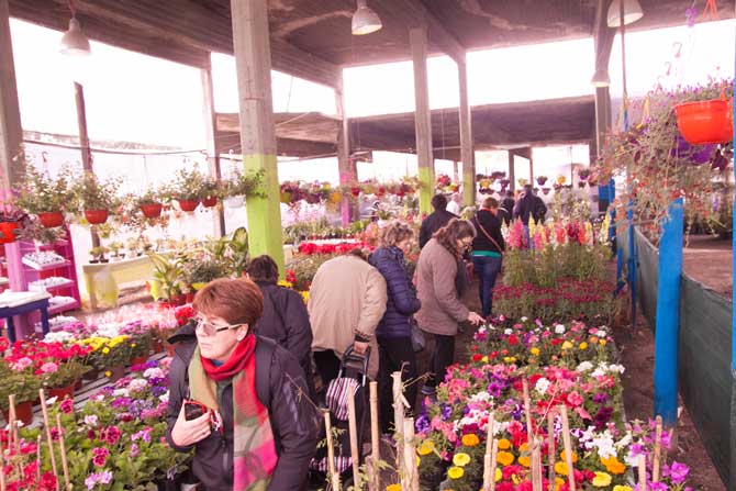 Fiesta Nacional de la Flor en Escobar