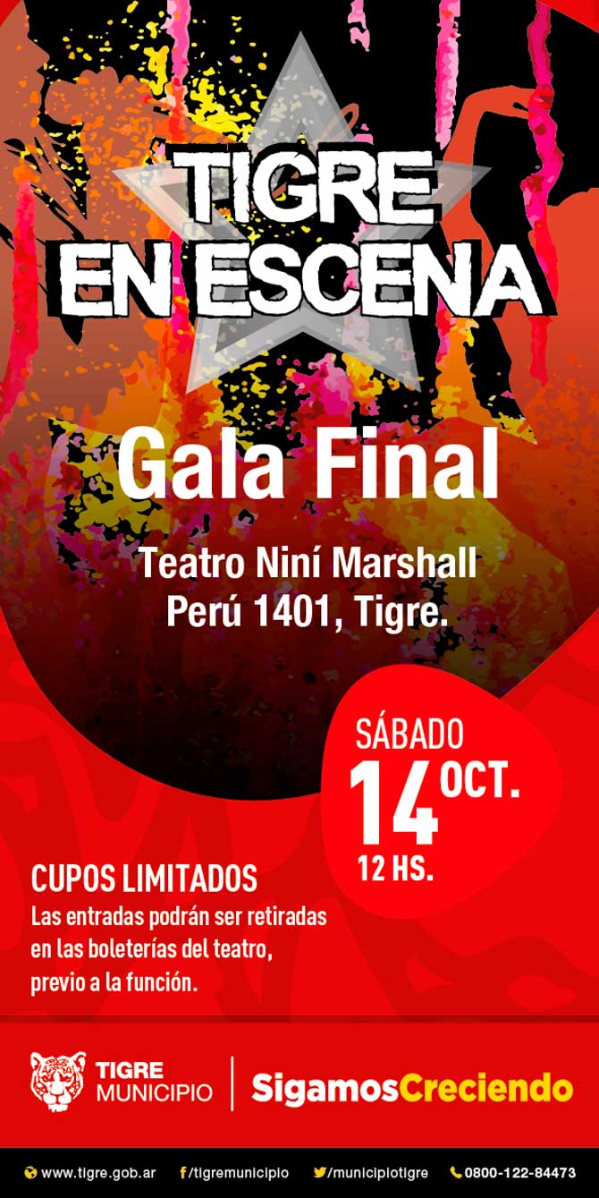 Final del concurso de baile y canto "Tigre en escena"