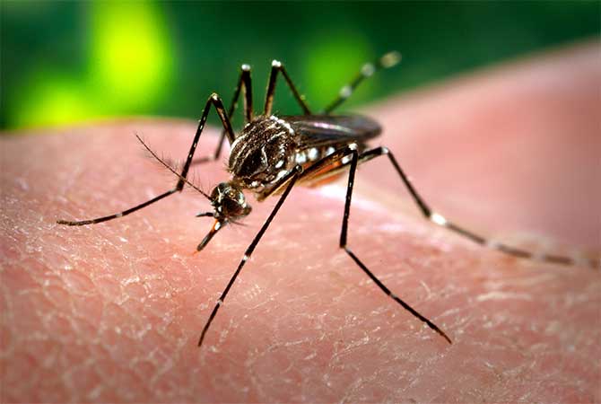 Recomendaciones para prevenir el dengue