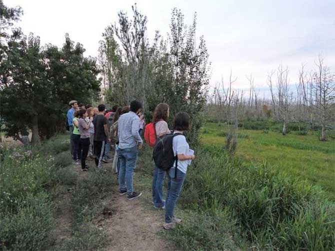 Avistaje de aves en Tigre