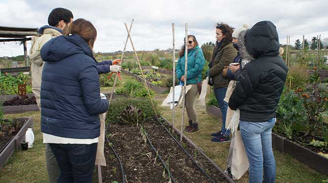 Vivir la huerta como un concepto circular