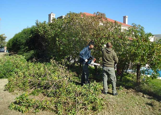 Receso y renovación en el jardín