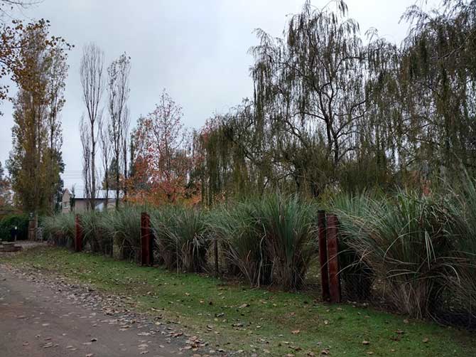 Receso y renovación en el jardín