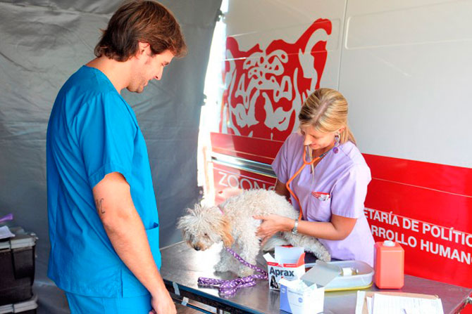 Móvil Zoonosis Tigre continúa su recorrido