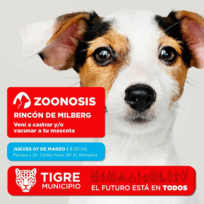 Zoonosis Tigre inicia su recorrido