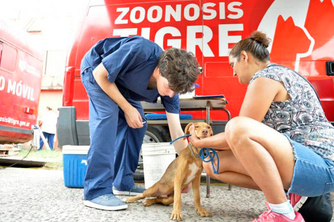 Zoonosis Tigre inicia su recorrido de julio