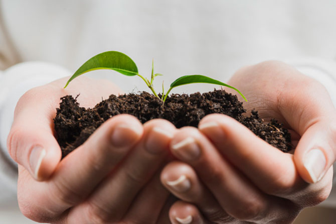 Día del Medio Ambiente: nuevas tendencias, nuevas generaciones