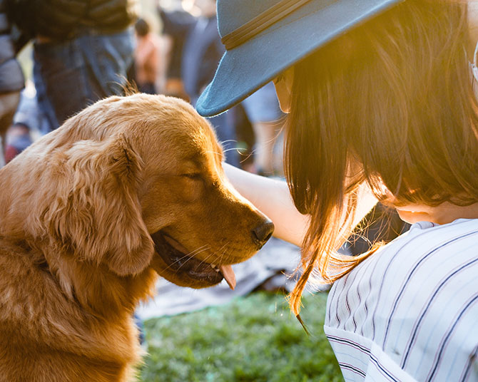 Cómo adoptar y cuidar a una mascota