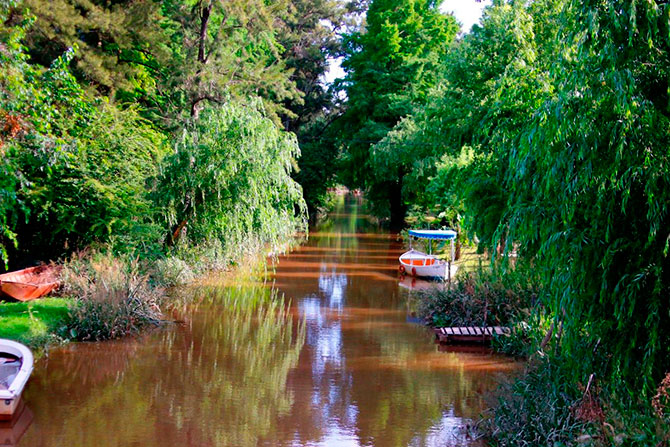  El Delta del Paraná: un paseo por la naturaleza y el arte de Tigre