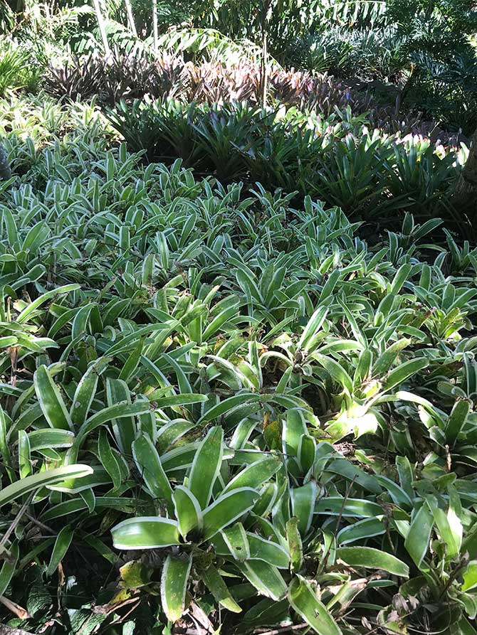 Jardines con reminiscencias del Paraíso