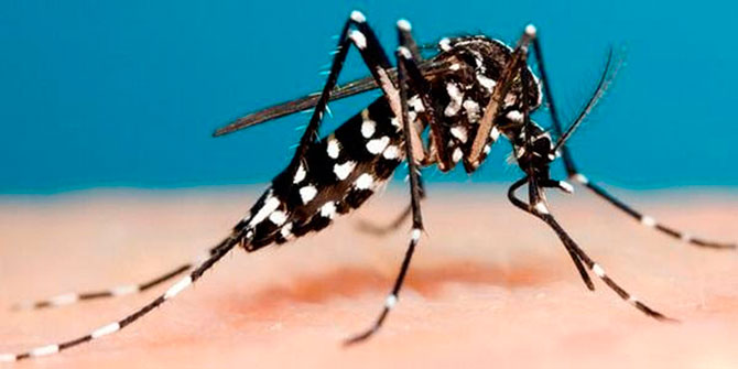Recomendaciones para prevenir el Dengue, Chikungunya y Zika