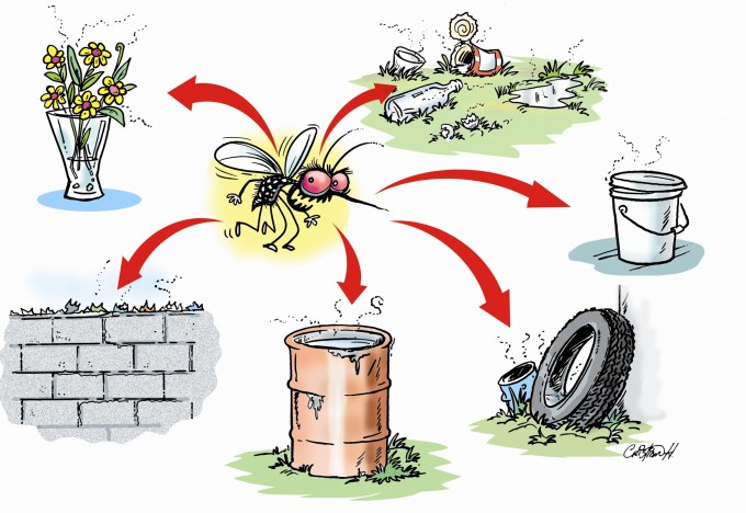Recomendaciones para prevenir el Dengue, Chikungunya y Zika