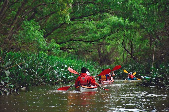 Recomendaciones para navegar en el Delta