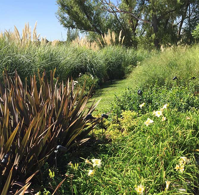 Sustentabilidad en los jardines