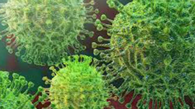 Coronavirus en Nordelta y zonas vecinas