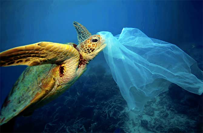 A Plastic Ocean, el documental que tenés que ver