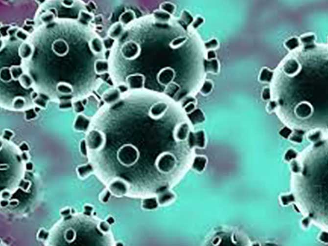 Coronavirus en Tigre: Más de 400 casos