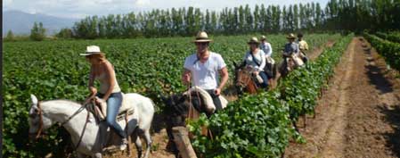 Bodegas Bianchi recibe un reconocimiento especial de TripAdvisor