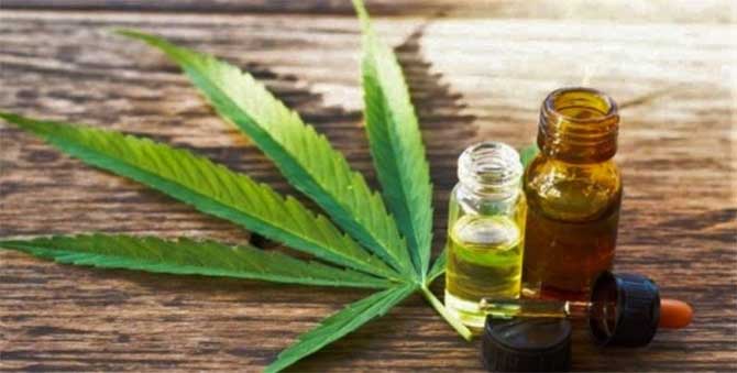 En Tigre se aprobó la utilización y producción de cannabis para uso medicinal