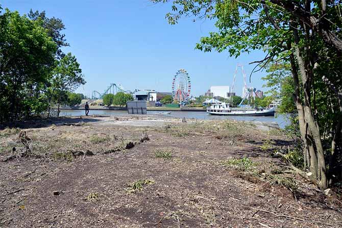 Se recuperó un importante predio en el Delta y será destinado a la preservación ambiental