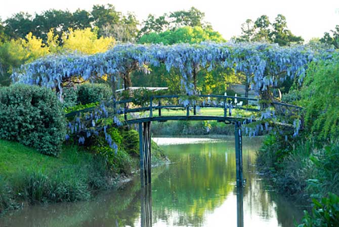 Isla El Descanso, paseo obligado en el Delta de Tigre