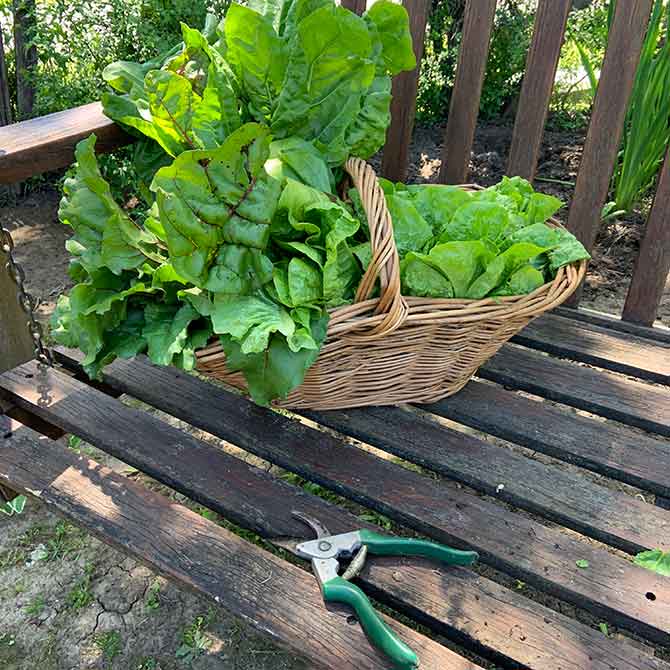 Naturaleza, la damos por sentado pero cada vez es un bien más preciado