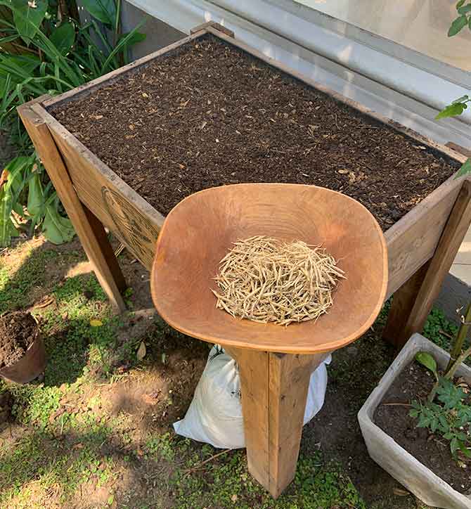 Naturaleza, la damos por sentado pero cada vez es un bien más preciado