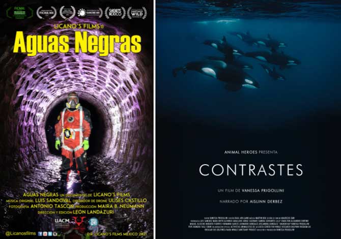 El festival de cine pionero en medio ambiente llega a Argentina
