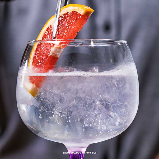 Recetas con Gin Tonic