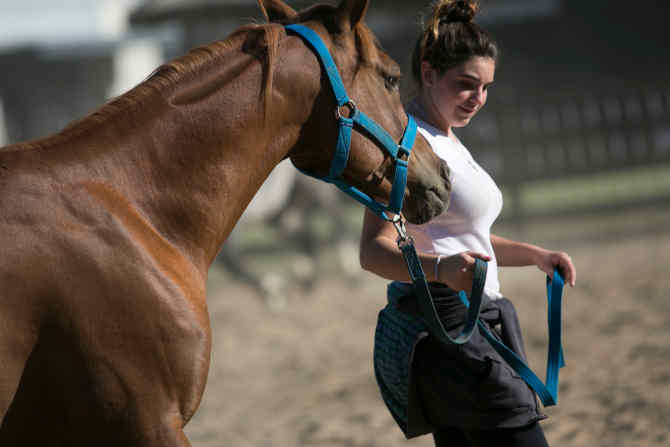 Vuelve “Nuestros Caballos” a La Rural