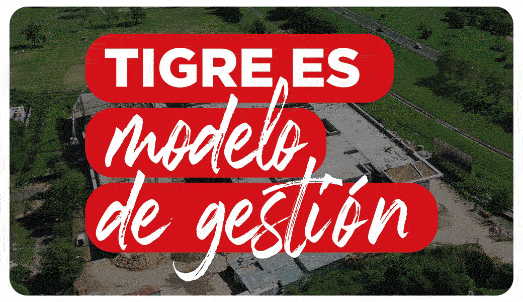Tigre modelo de gestion