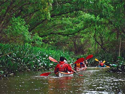 Recomendaciones para navegar en el Delta