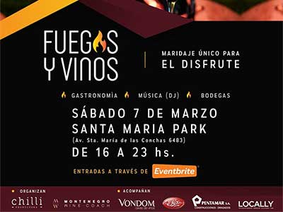 Cata de vinos FUEGOS y VINOS