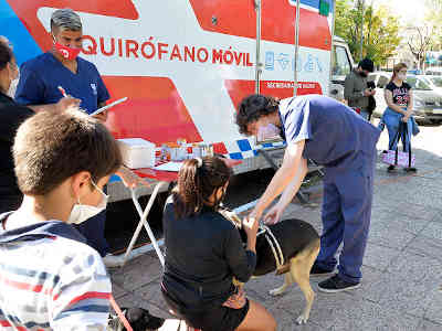 Zoonosis del Municipio de Tigre extiende su servicio