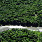 Weleda y Fundación Banco de bosques se unen para proteger la biodiversidad