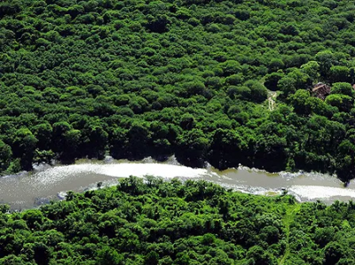 Weleda y Fundación Banco de bosques se unen para proteger la biodiversidad