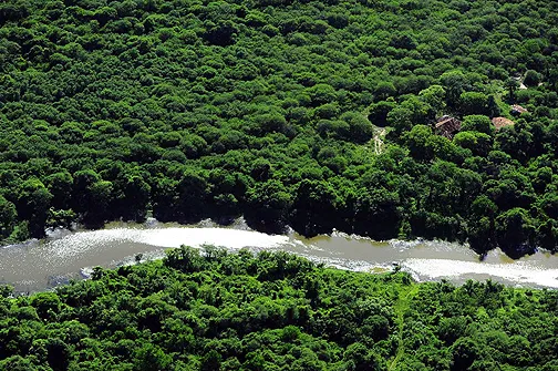 Weleda y Fundación Banco de bosques se unen para proteger la biodiversidad  