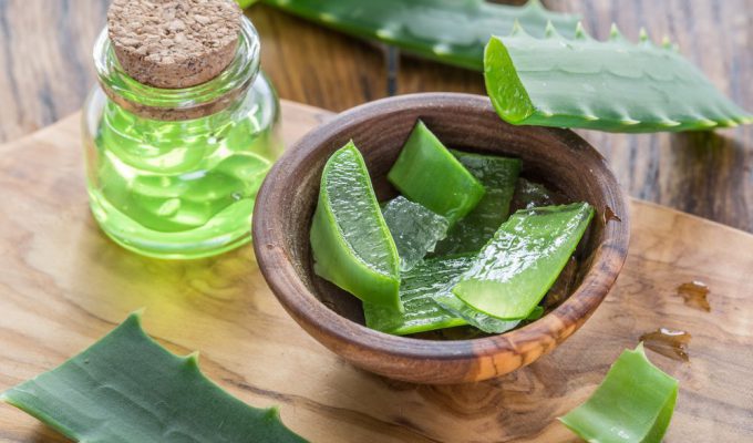 4-BENEFICIOS-DEL-ALOE-VERA