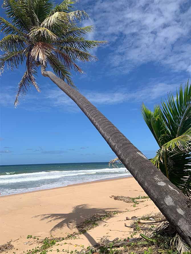 All Inclusive en Brasil, Praia do Forte